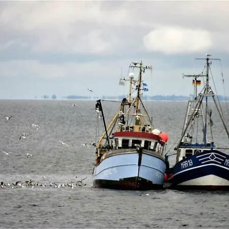 Dat Molenhuus Seeadler - #116905 Kappeln